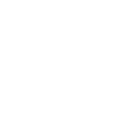 Interpol